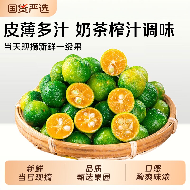 海南小金桔新鲜青柠檬当季小橘子奶茶店泡茶水果皮薄多汁包邮青柑