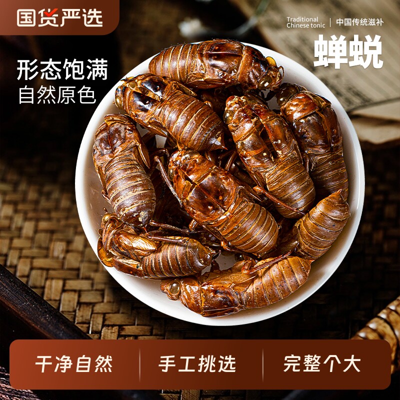 蝉脱中药材正品新货野生蝉蜕壳蝉蜕皮蝉蜕粉知了壳知了皮蝉蜕粉
