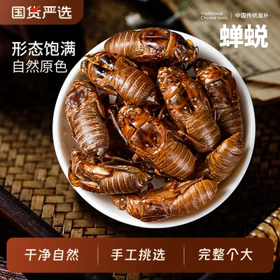 蝉脱中药材正品新货野生知了壳皮