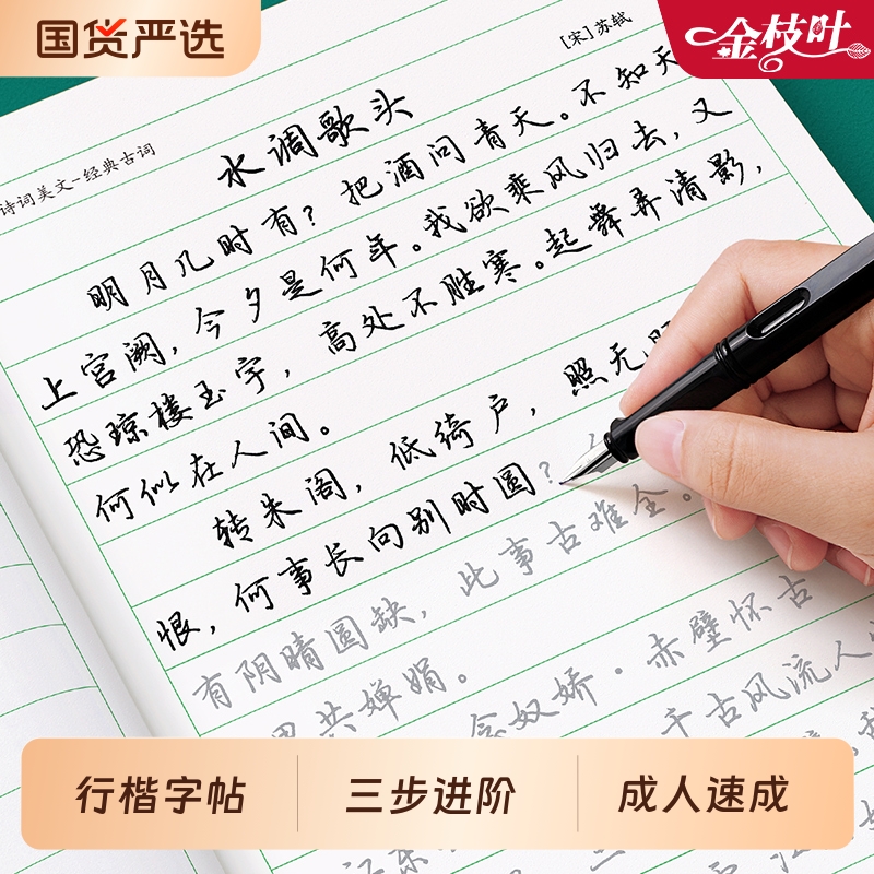 行楷成人练字帖速成套装控笔训练