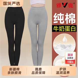 保暖裤 2025新款 秋冬季 雅鹿纯棉女士秋裤 全棉毛裤 薄款 打底线裤 女款