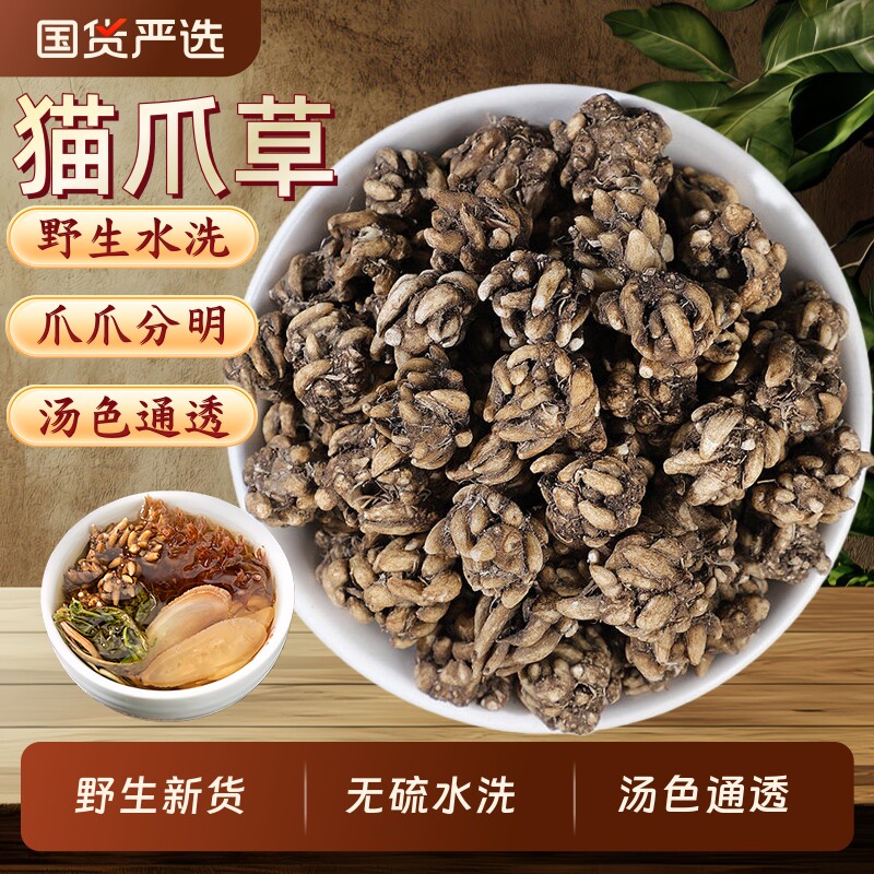 猫爪草中药材官方旗舰店野生猫爪草泡水猫爪草夏枯草蒲公英泡茶喝
