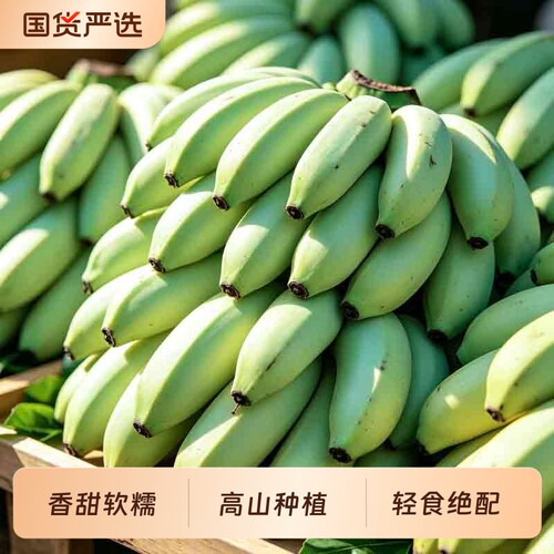 广西高山香蕉无泡药自然成熟软糯香甜5斤9斤包装青皮甜当季单根