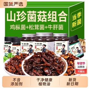云南特产油鸡枞菌松茸菌牛肝菌即食油菌蘑菇酱下饭菜小吃拌饭拌面