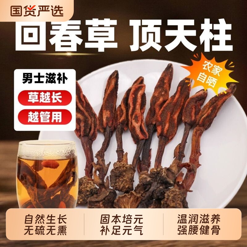 正品云南野生回春草旗舰店顶天柱泡酒不老草泡茶男性滋补苁蓉马卡