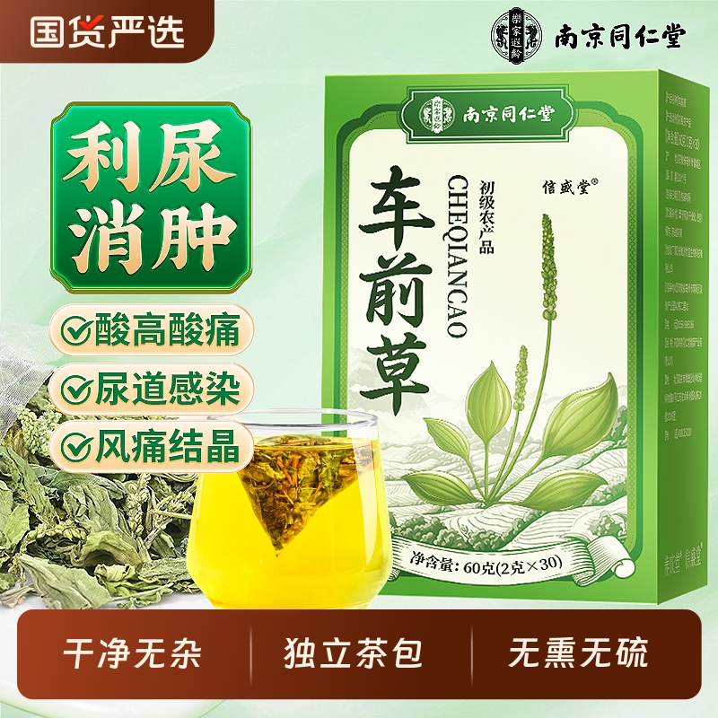 同仁堂车前草野生泡水喝的功效与作用酸茶尿降袋泡干货官方旗舰店