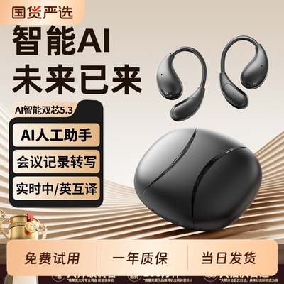 DeepseekAi智能】翻译挂耳式耳机
