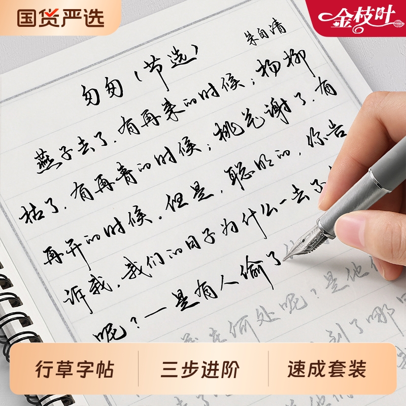 行草字帖成人练字行楷速成套装