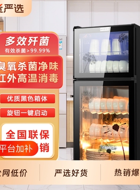 国货新款消毒碗柜家用小型立式大容量厨房桌面台式消毒柜商用餐饮