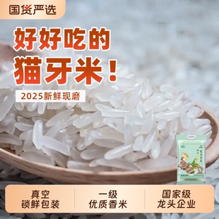 瑶山正宗象牙香米10斤泰国香超长粒大米猫牙米真空煲仔饭原粮优质