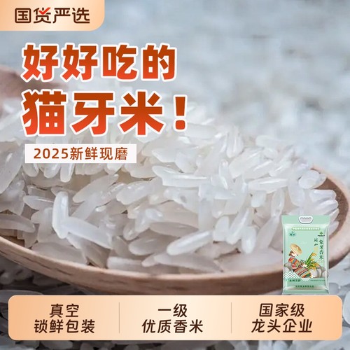 瑶山正宗象牙香米10斤泰国香超长粒大米猫牙米真空煲仔饭优质当季