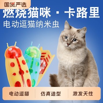 猫玩具猫咪自嗨解闷神器电动自动逗猫棒消耗体力的丰容幼小猫用品