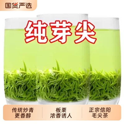 信阳毛尖明前特级茶|千人加购