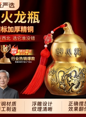 黄铜避火龙瓶客厅厨房摆件
