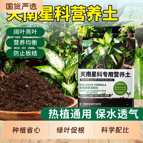 天南星科热植龟背竹专用土