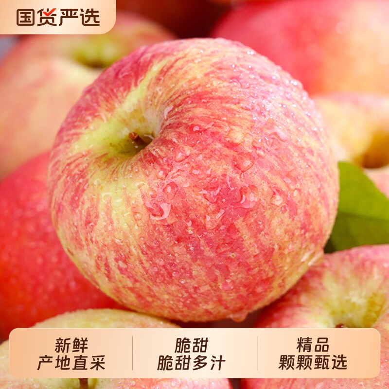 礼盒装新鲜红富士苹果当季水果冰糖心山西丑平果脆甜生鲜精品现摘