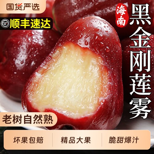 【顺丰次日达】海南黑金刚莲雾