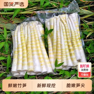 江西竹笋新鲜夏笋袋装 脆嫩笋尖清水竹笋嫩笋尖笋火锅串串食材泡椒