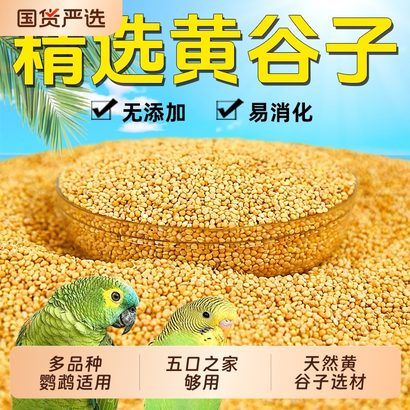 新黄谷子带壳小米虎皮牡丹玄凤中小型鹦鹉文鸟鸟粮鸟食鸟饲料5斤,宠物/宠物食品及用品,鸟食,淘宝优惠券,粉丝福利购,淘宝优惠卷