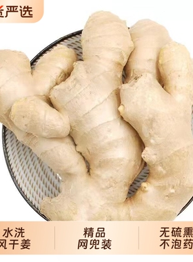 山东大姜老黄姜优质生姜月子姜风干姜现挖鲜姜新鲜本地大黄姜包邮