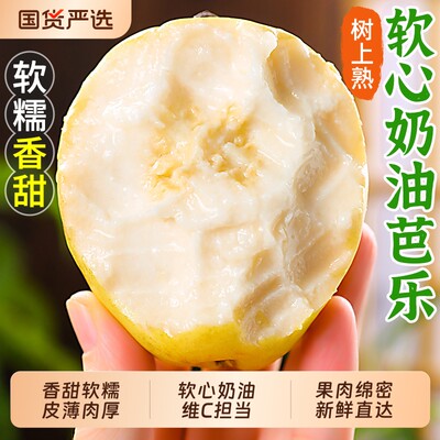 热卖！软糯奶油芭乐！收到需催熟