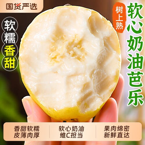 热卖！软糯奶油芭乐！收到需催熟