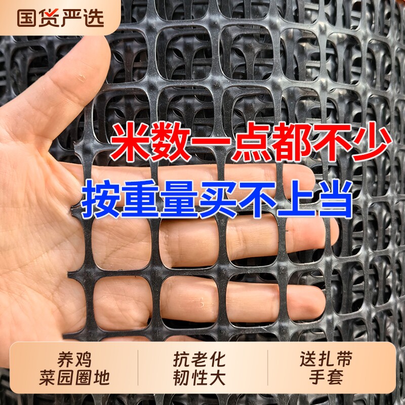 塑料围栏网围网养殖防护拦鸡鸭胶网家用菜园玉米护栏栅栏户外养鸡