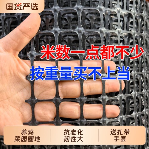 塑料围网养殖防护拦鸡鸭胶网家用