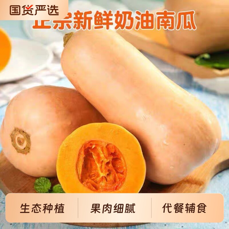 阿根廷奶油南瓜香甜软糯 2026新鲜现摘农家自种小南瓜宝宝辅食9斤