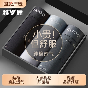 平角四角短裤 雅鹿男士 大码 纯棉男生2025新款 头青少年透气抗菌 内裤