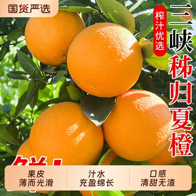 秭归夏橙伦甜脐晚橙果冻橙大果孕妇水果当季整箱甜橙手剥橙榨汁