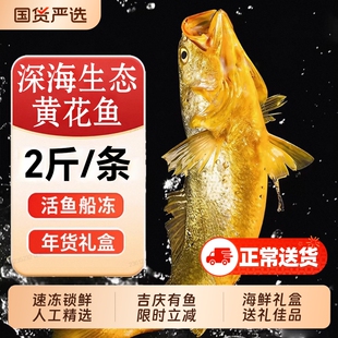 大黄鱼礼盒新鲜冷冻深海鲜活大黄花鱼海鲜水产鱼年货特产送礼速冻