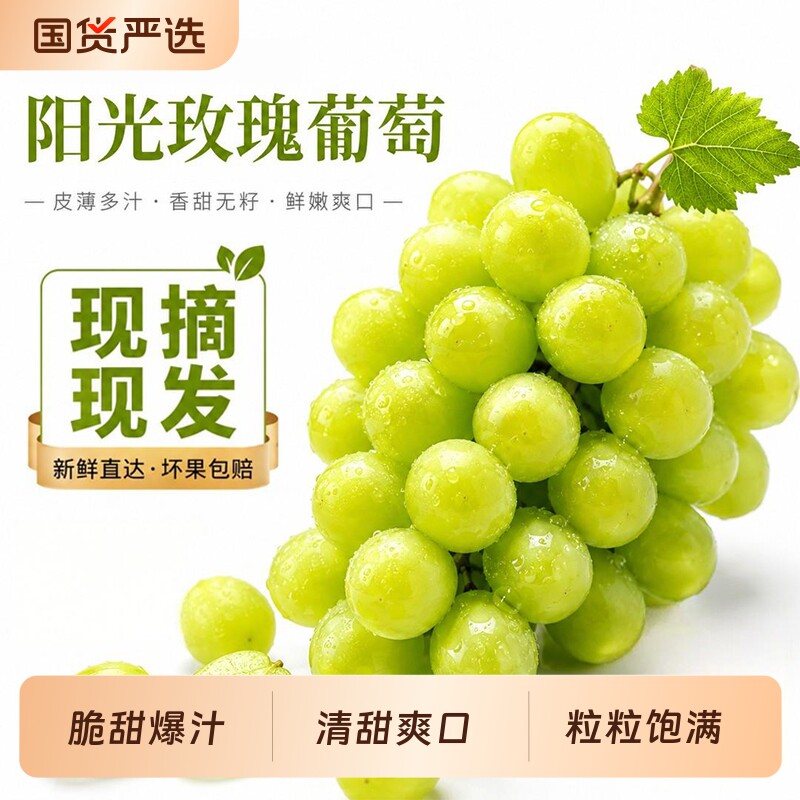 正宗云南阳光玫瑰葡萄5斤当季无籽香印提子青提晴王新鲜水果顺丰