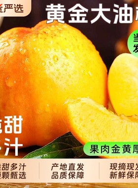 【5斤黄油桃钜惠装】脆甜多汁
