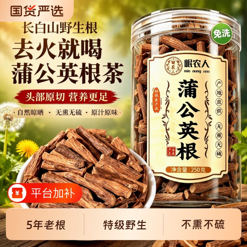 野生蒲公英根茶特级长白山婆婆丁中药材新鲜蒲公英根去火正品老根