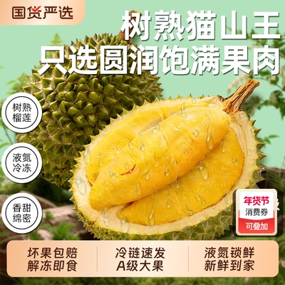 新鲜进口D197猫山王榴莲树熟液氮冷冻整果树熟榴莲送礼水果顺丰