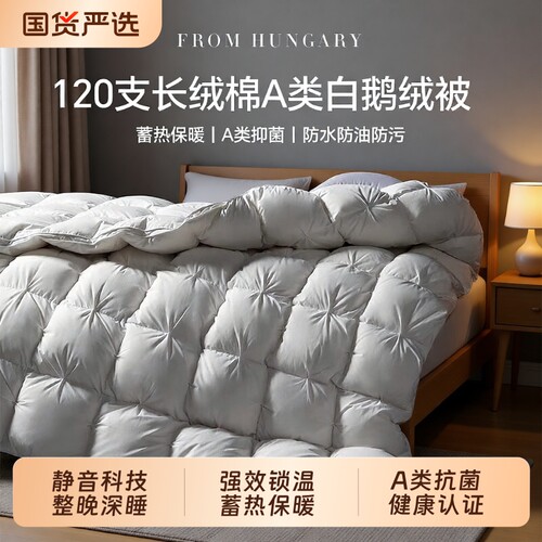 白鹅绒加厚保暖被春秋冬季用