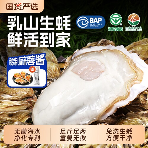贝司令乳山鲜活免洗生蚝