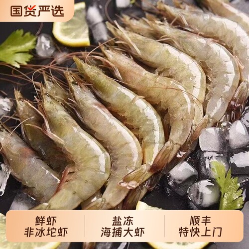 【顺丰特快】新鲜海捕鲜活速冻