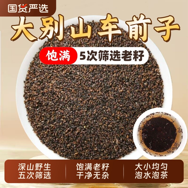 野生车前子中药材正品官方旗舰店车前子车前草籽泡水喝饱满老籽