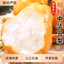 包邮 正宗中华丑梨新鲜梨子软糯奇葩当季 水果山东烟台啤梨多汁整箱