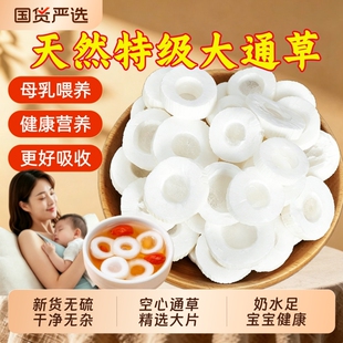 特级通草中药材大通草产后哺乳期下煲汤奶白通草王不留行路路通