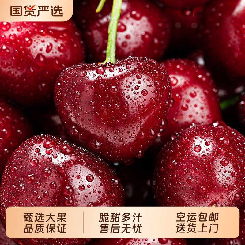 正宗大连美早大樱桃空运包邮国产车厘子甄选大果脆甜多汁送货上门