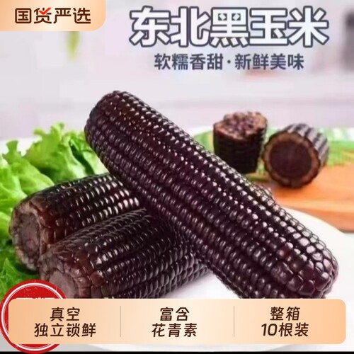 2025年新黑玉米新鲜糯玉米真空装加热即食黄糯甜粘10根花青素现摘
