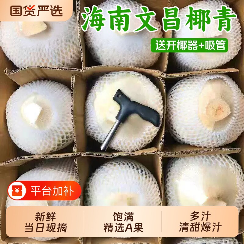 椰子海南椰青新鲜去皮青香水皇鸡汁水果孕妇文昌整箱特产椰汁果肉