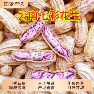 七彩花生带壳云南特产彩色花生米水煮咸干2025新货新鲜原味晒干