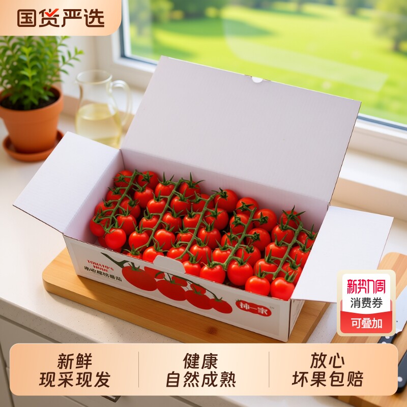 柿一家串收樱桃番茄新鲜水果千禧圣女果小西红柿绿色一颗礼盒装