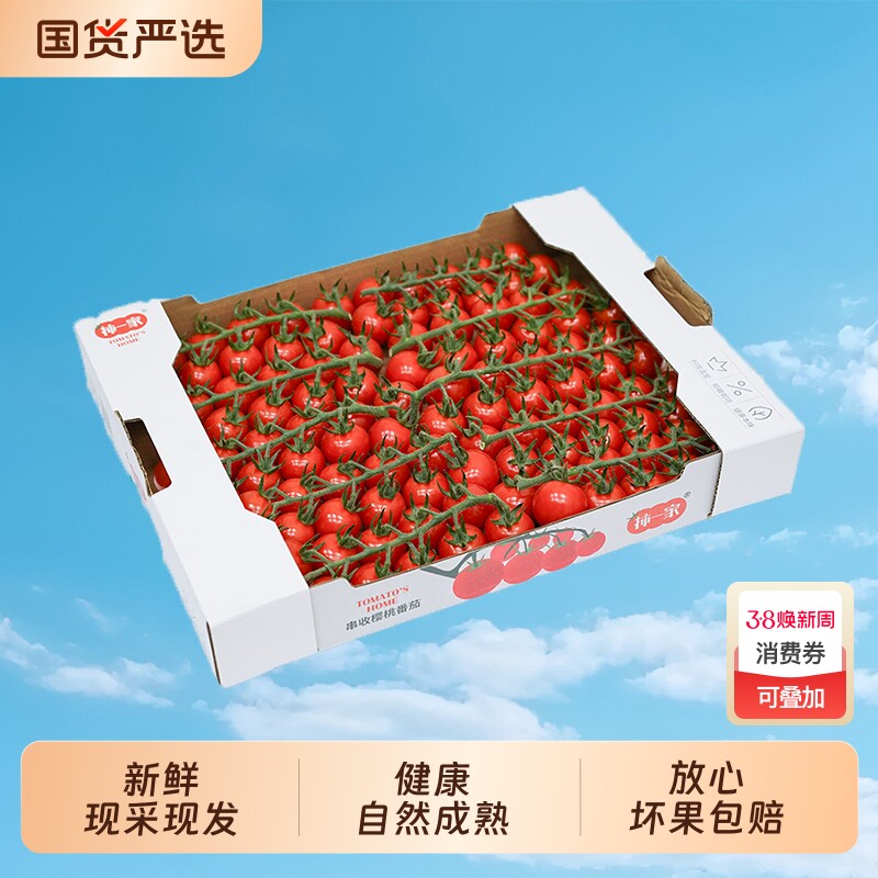 柿一家串收樱桃番茄1.5kg新鲜水果千禧圣女果小西红柿绿色一颗 - 国货严选旗舰出品
