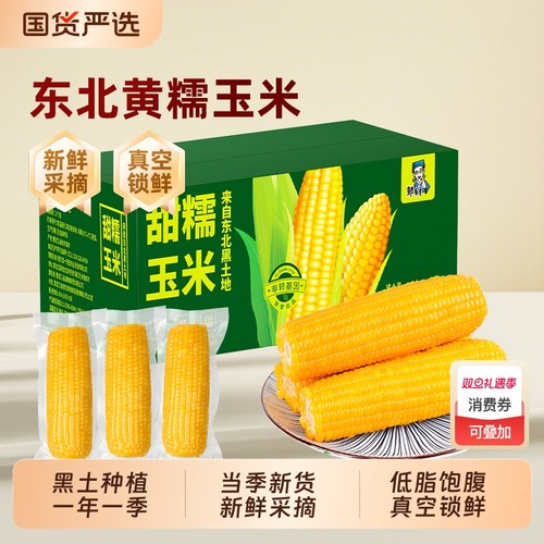 东北黄糯玉米当季新货软糯黄苞米新鲜现摘早餐代餐低脂饱腹真空装