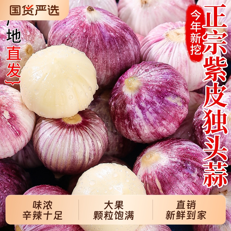 紫皮蒜独头蒜云南新鲜大蒜头